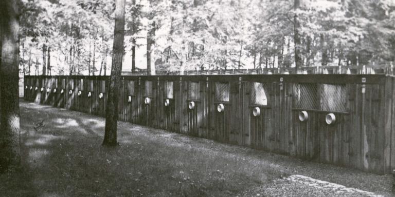 SS-Hundezwinger im KZ Buchenwald